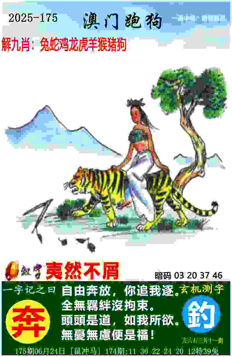 奥运跳水冠军王鑫来肥领衔路跑 马鞍山选手夺冠